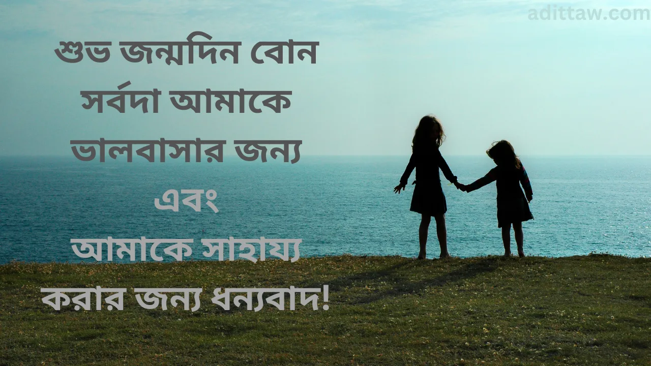 বোনের জন্মদিনে শুভেচ্ছা স্ট্যাটাস